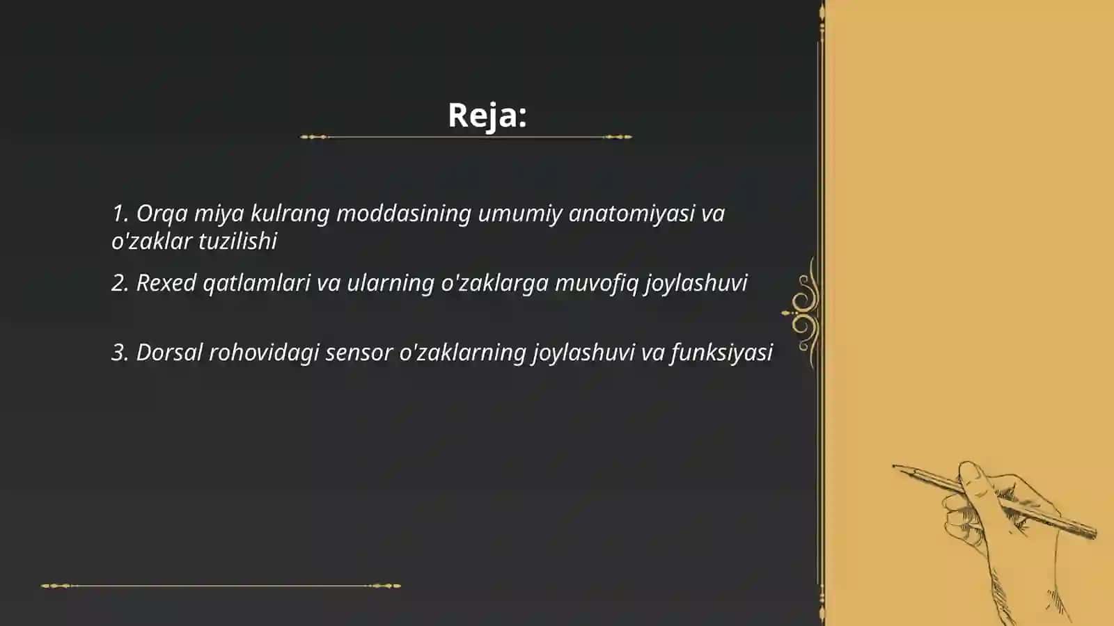 Orqa miya kulrang moddasining umumiy anatomiyasi va o'zaklar tuzilishi 2