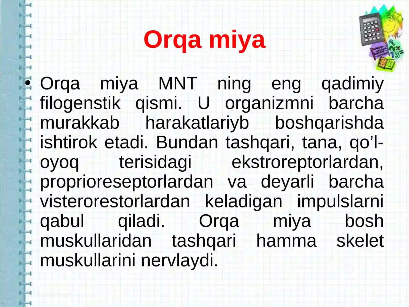 Orqa miya 2