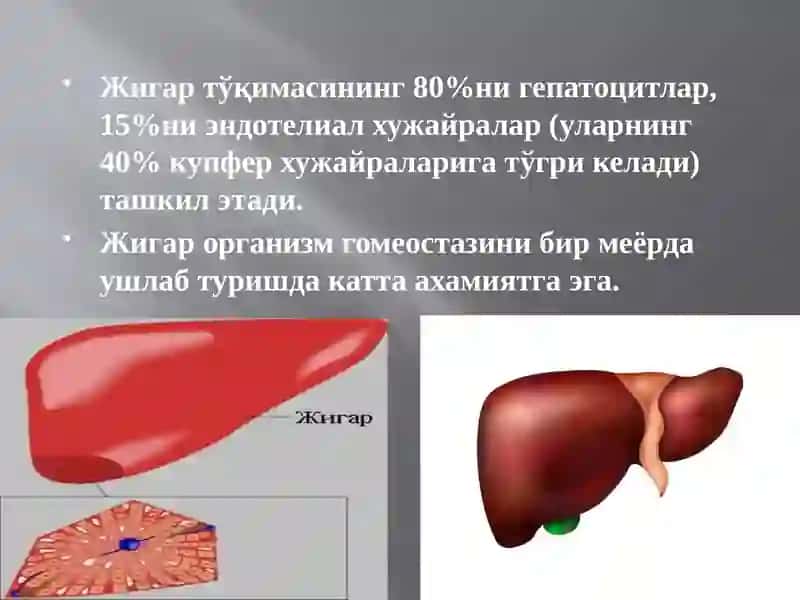 O‘tkir jigar yetishmovchiligi 2