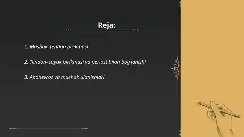 Mushaklar birlashuvlar 2
