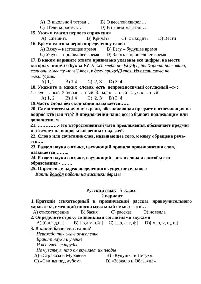 Русский язык и литература 5 класс 1 вариант 2