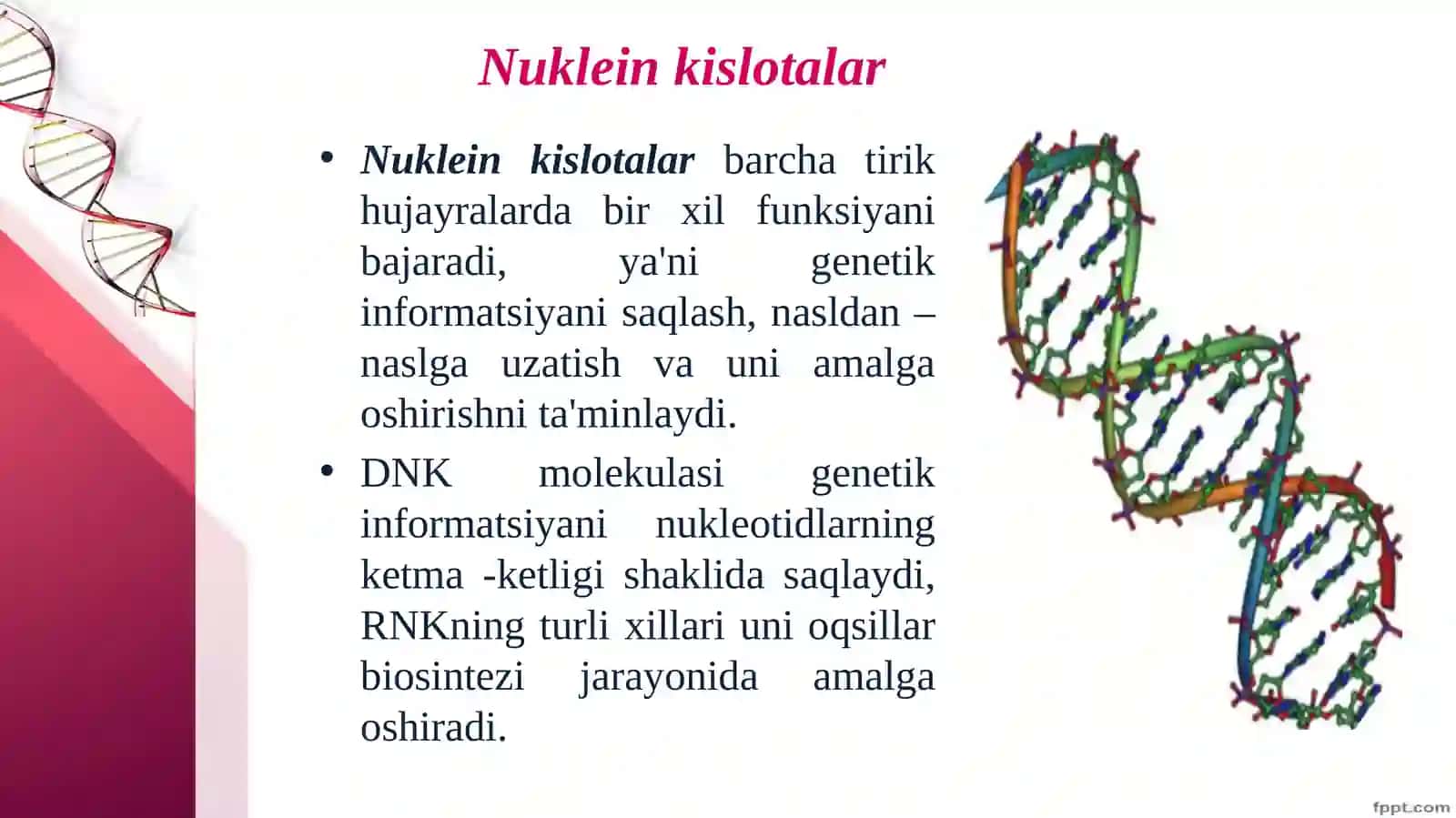 Nuklein kislotalar va irsiy belgilarni nasldan-naslga o' tishdagi roli 2