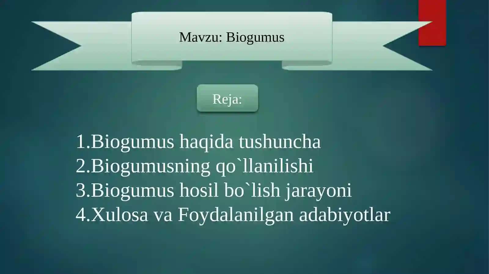 Biogumus 2
