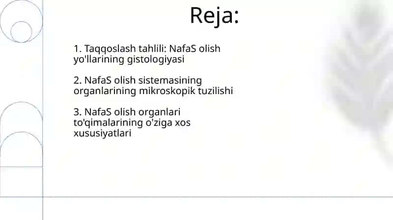 Nafas olish tizimi a'zolarining qiyosiy gistalogik tavsifi 2