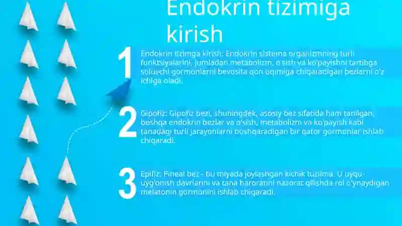 Gipofiz, Epifiz, Qalqonsimon Va Qalqonoldi Bezlari, Me'Da Osti Va Ayrisimon Bezlarning Tuzilishi Va Fiziologigasi 2