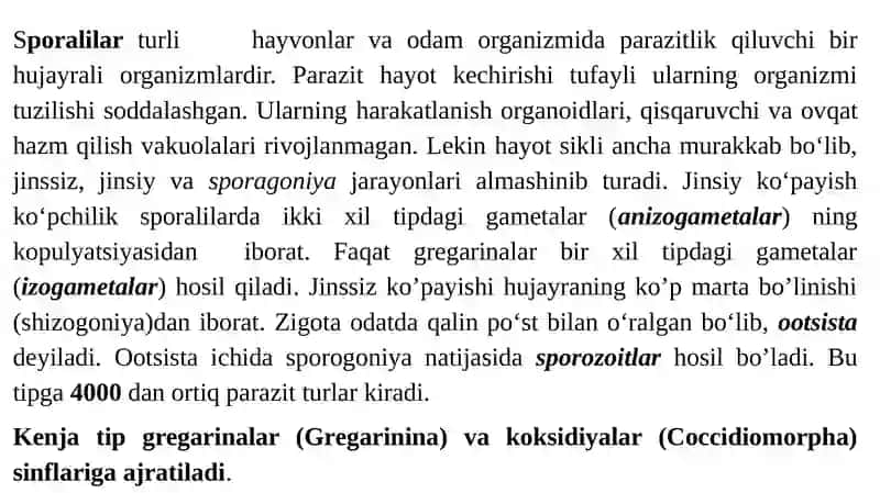 Apikompleksa (Apicomplexa) yoki Spora hosil qiluvchilar (Sporozoa) 2