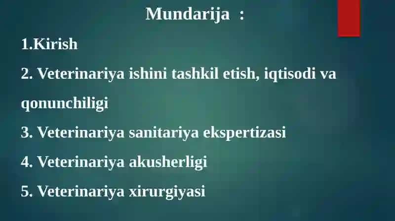 TALABASI TO'XTABOYEV MADIYORNING MALAKAVIY AMALIYOTDAN TAYYORLAGAN TAQDIMOTI 2