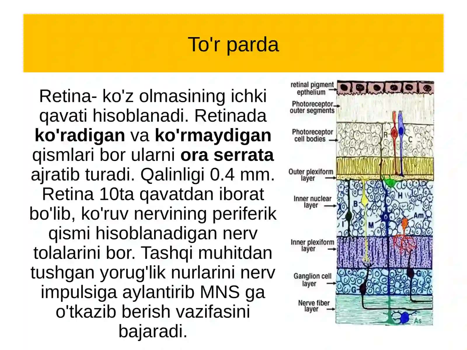 To'rpardako'chishi-davolashningyangiinnovatsionusullari 2