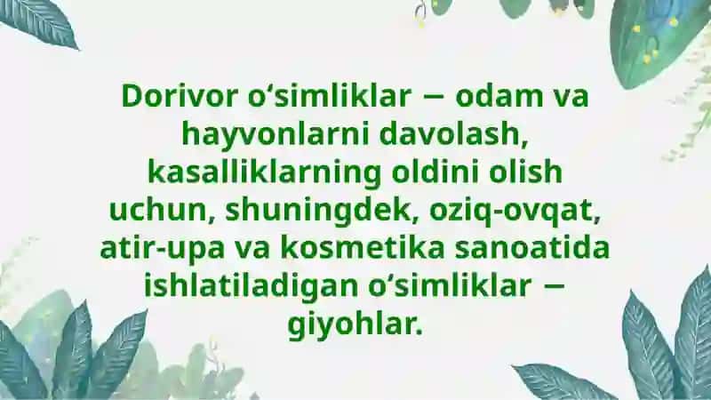 DORIVORO'SIMLIKLARNING SISTEMATIK TAHLILI VA TARQALISHI 2