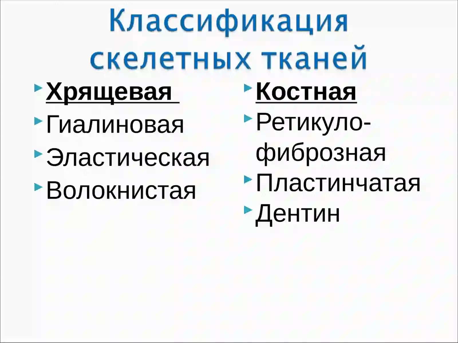 Скелетные ткани: Хрящевая и костная ткани 2