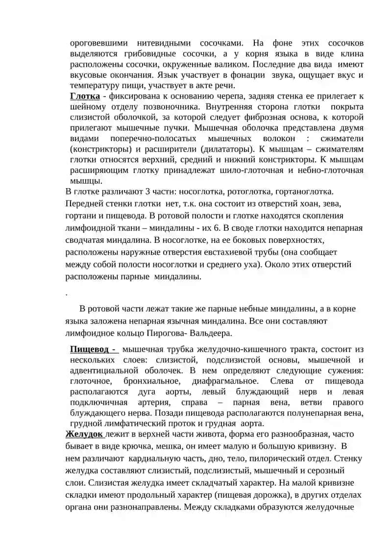 Тема: «Трубчатые и паренхиматозные органы пищеварительной системы. Строение печени и поджелудочной железы» 2