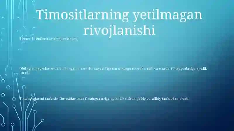 Timusdagi T-Limfositlarning Yetilish Jarayoni 2