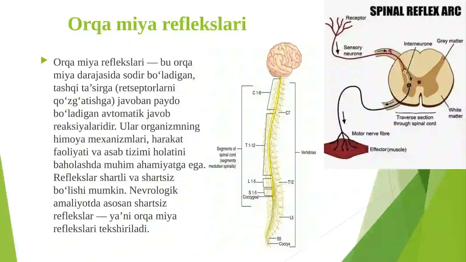Orqa miya reflekslarini, faol diqqat, ixtiyoriy harakat tezligi, aqliy ishchanlik qobiliyatlarini aniqlash 2