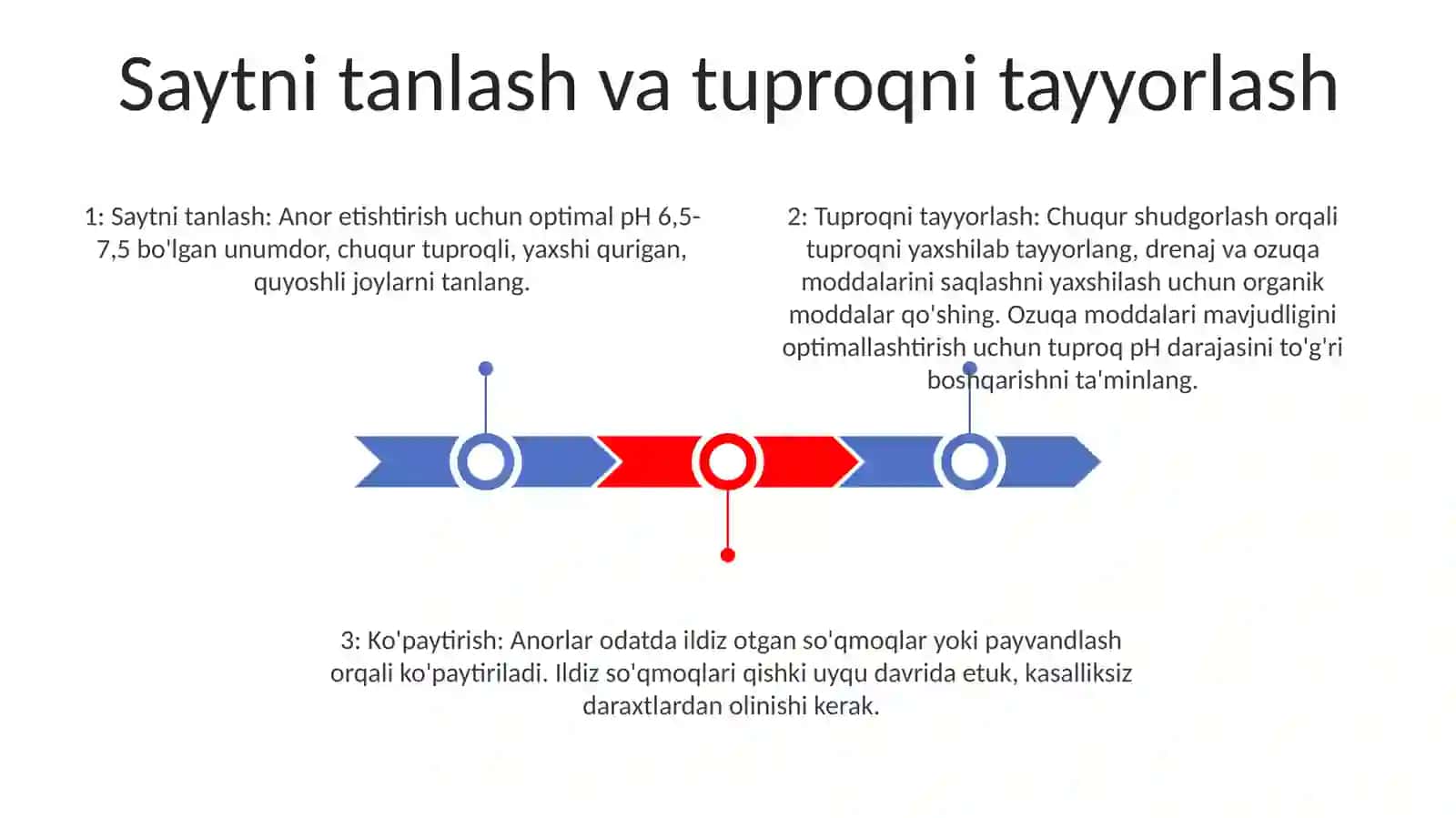 Dasht Adir Joylarda Anorzor Barpo Qilishning O'Ziga Xos Xususiyatlari Va Yetishtirish Texnologiyasi 2