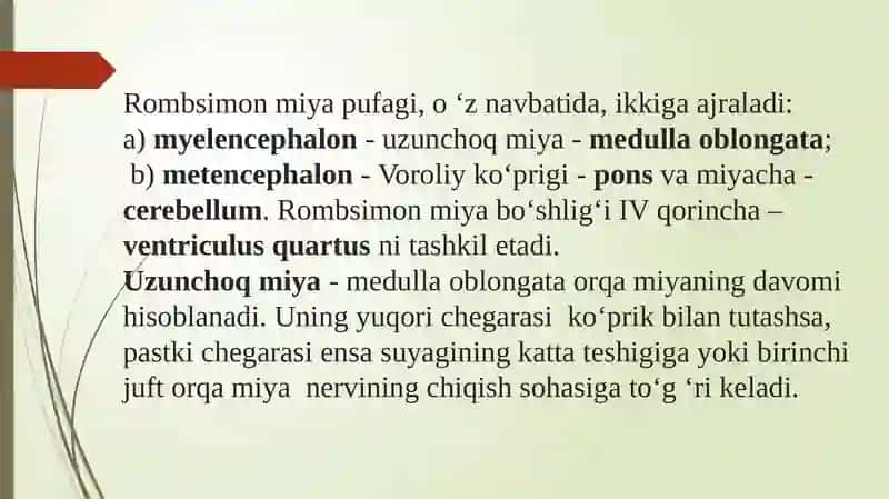 Uzunchoq miya. Miya Ko’prigi. Miyacha. Rombsimon  miya chuqurligi. IV-qorincha  tuzilishi  va  vazifasi. O’rta miya. Miya suv yo’li. Oraliq miya. Gipotalamus. Gipofiz. III qorincha klinik ahamiyati 2