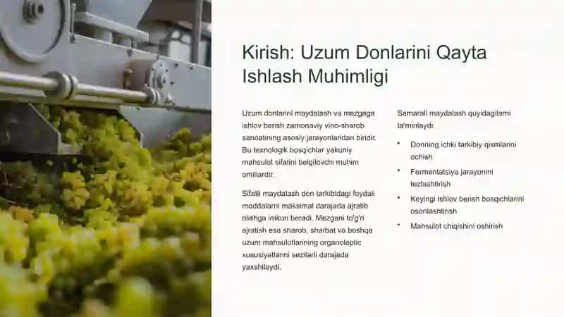 Uzum Donlarini Maydalash va Mezgaga Ishlov Berish Texnologiyasi 2