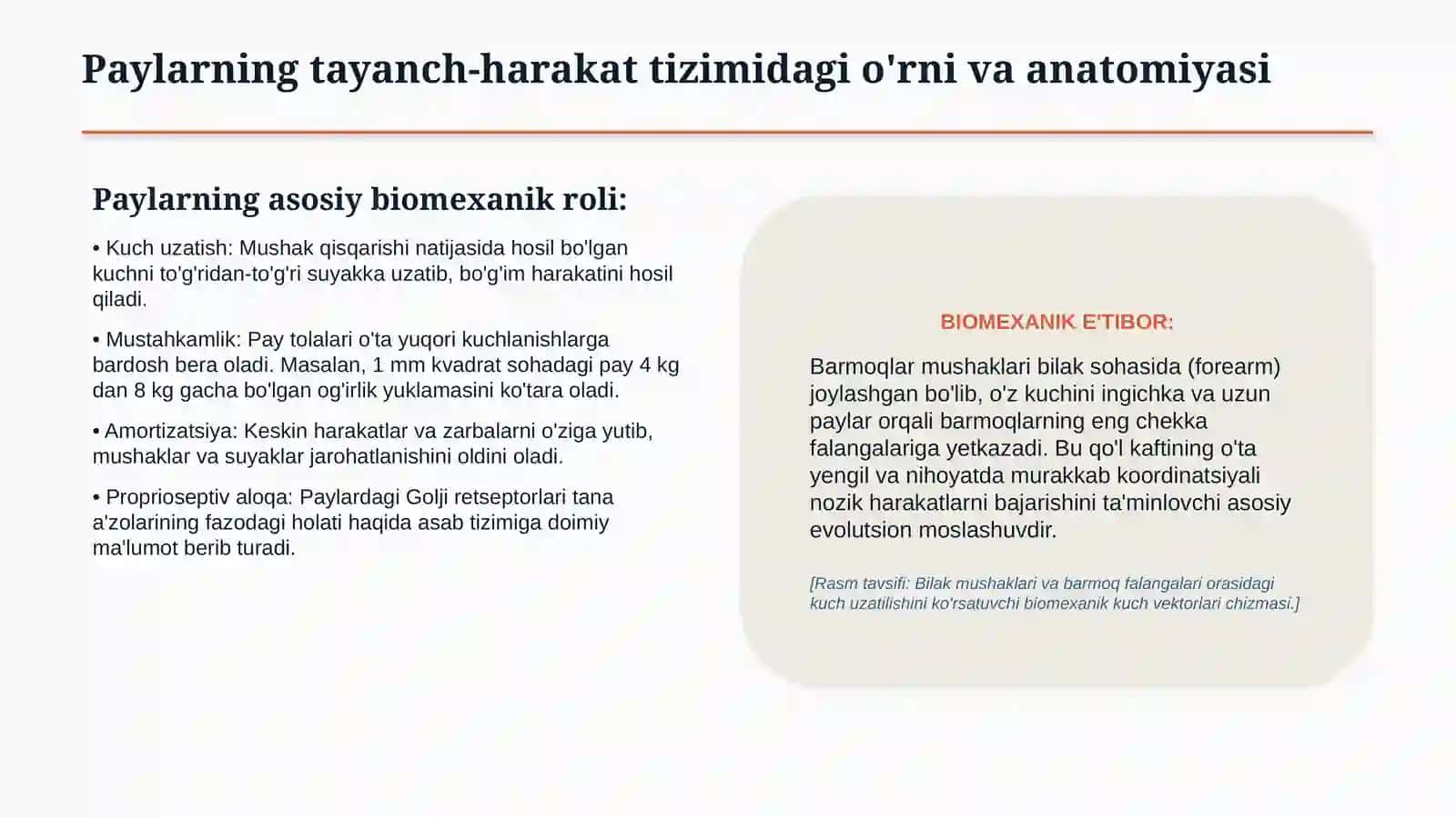 Qo‘l-oyoq barmoqlari paylari shikastlanishlari | 15 slaydli tibbiy taqdimot 2