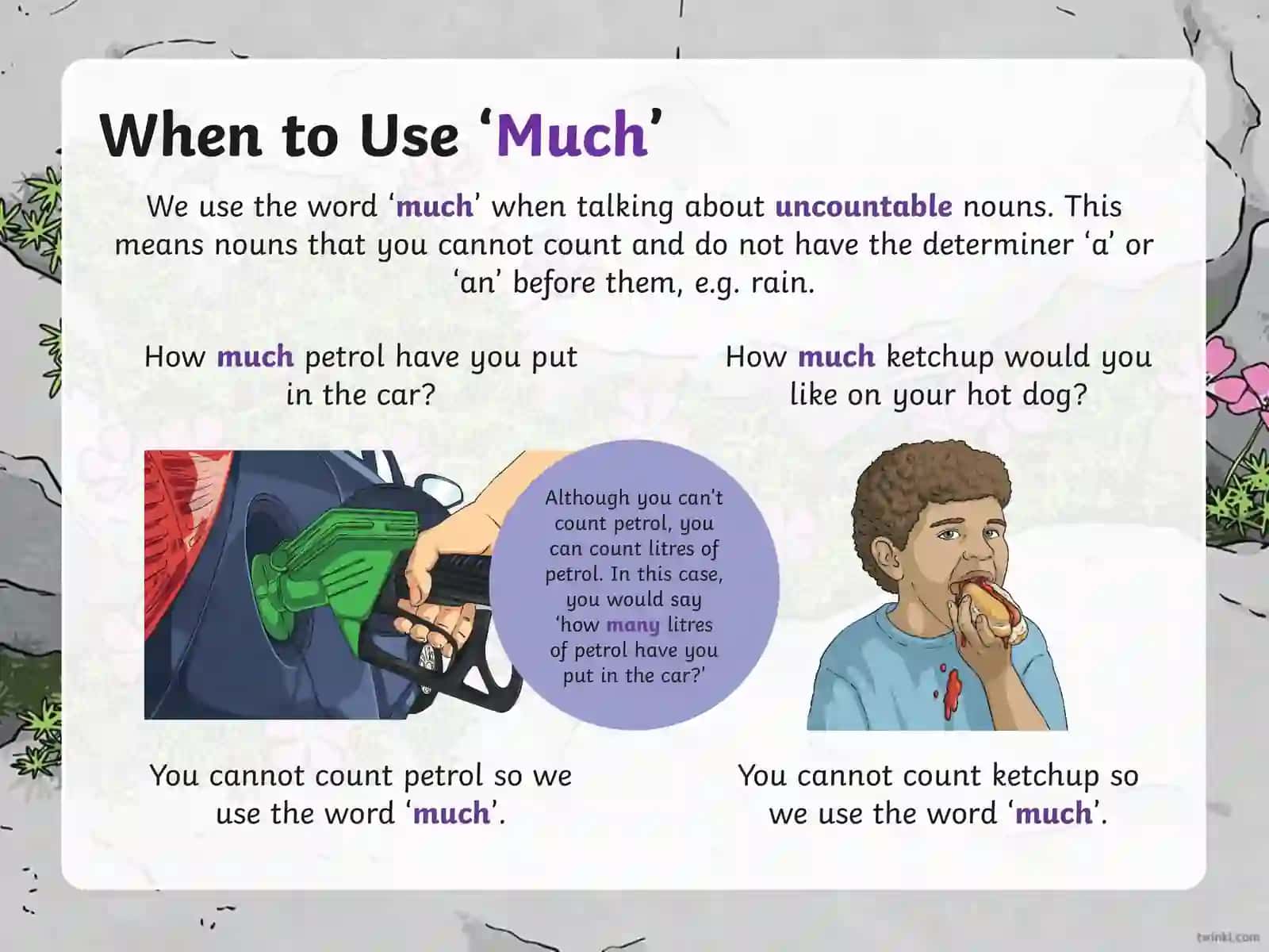Using 'Many' and 'Much' in English Grammar 2
