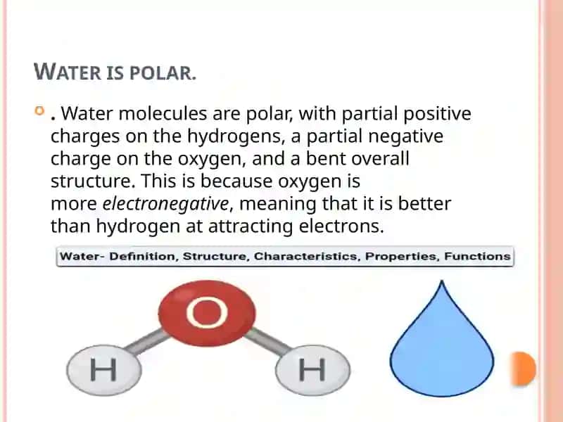 Water and its features 2