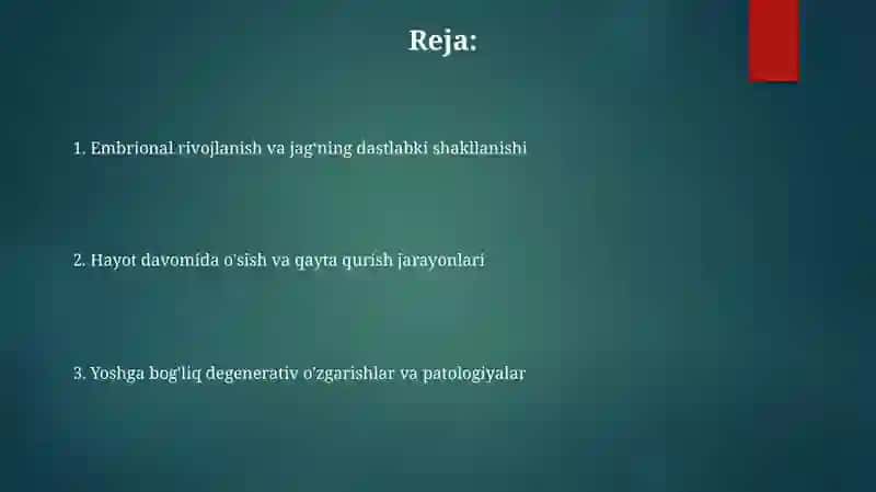 Yuqori va pastki jag'ning tuzulishi, yoshda doir xususiyatlari 2
