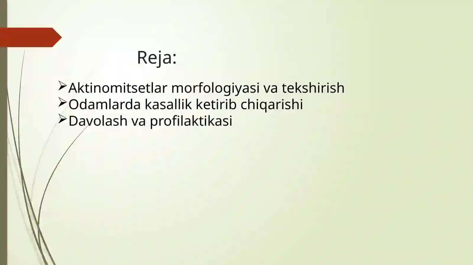 Aktinomikoz qo’zg’atuvchilari tavsifi va ularning keltirib chiqargan kasalliklari tashxisi. Atipik mikrobakteriyalar va ularning amaliyotdagi ahamiyati, ular keltirib chiqargan kasalliklari tashxisi 2