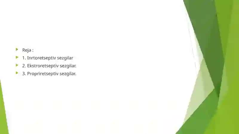 Sezgi turlari 2