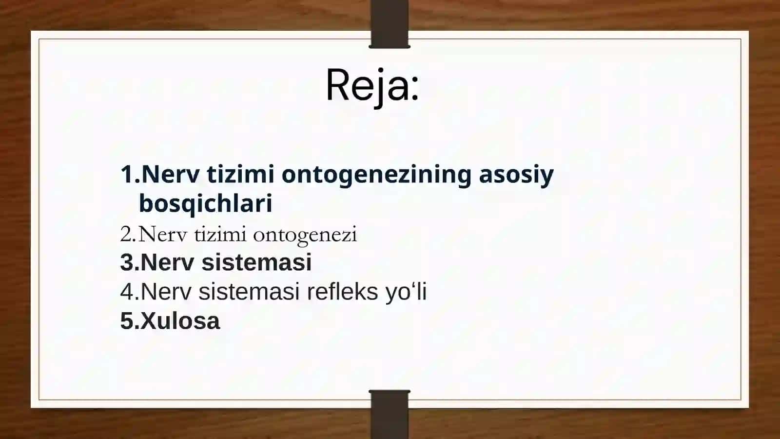 Nerv tizimi ontogenezi 2