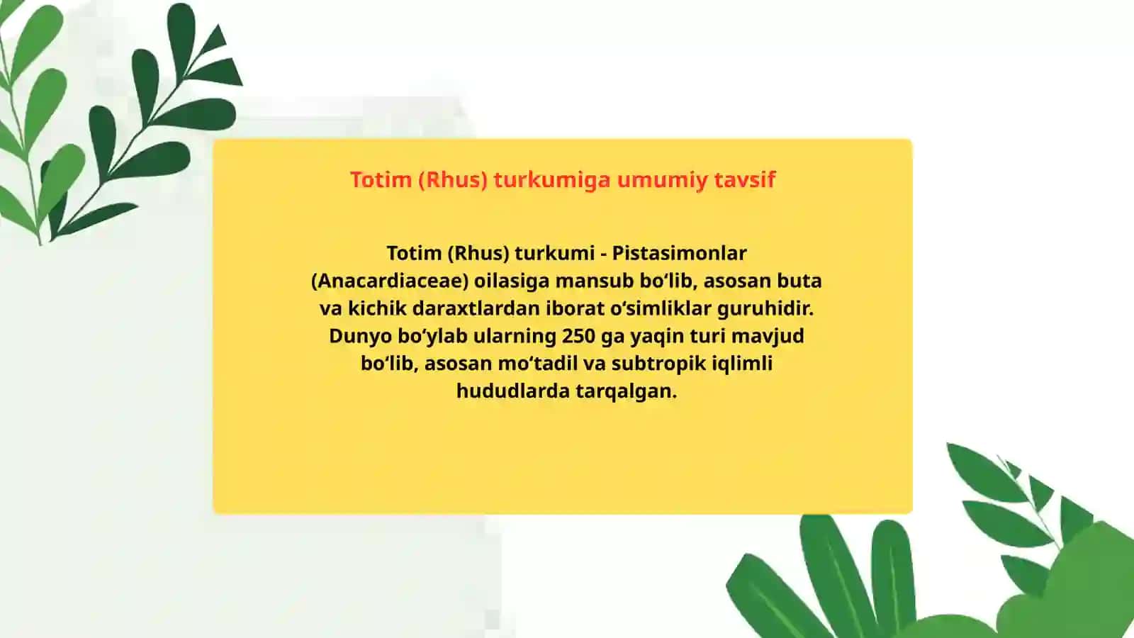 Totim ( Rhus) turkumi dorivor o‘simliklarning xalq xo‘jaligidagi ahamiyati 2