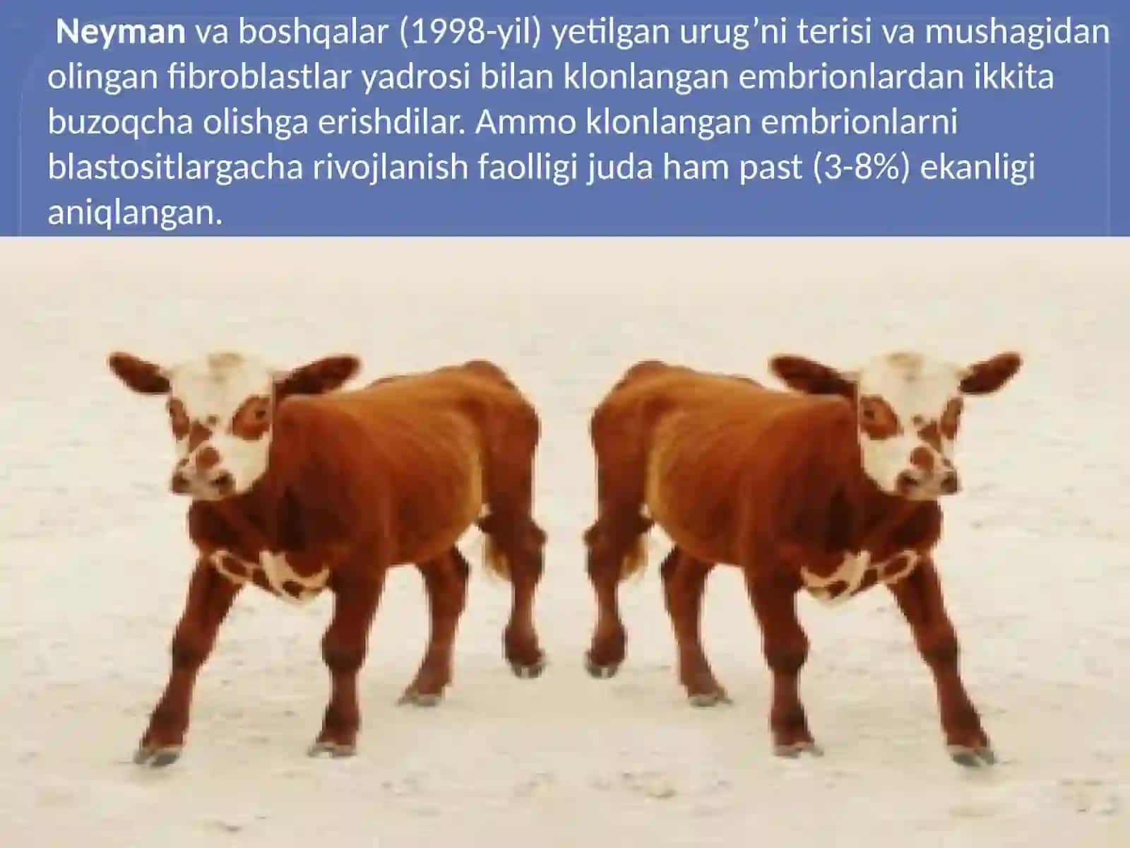 Vilmut boshchiligi 2