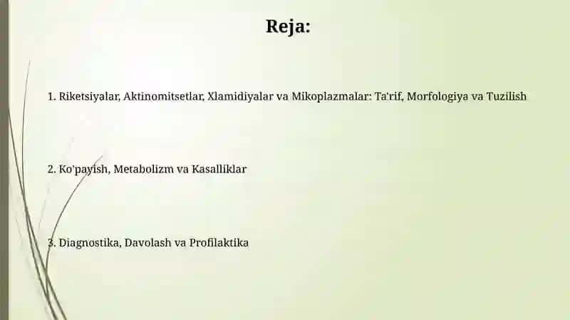 Bakteriyalarning morfologiyasi rikketsiyalar, aktinomitsetlar, xlamidiyalar, mikoplazmalar 2