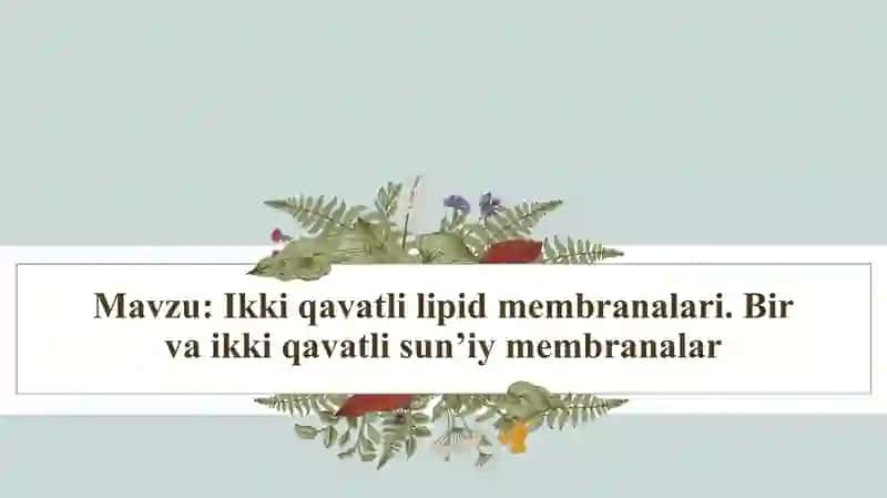 Ikki qavatli lipid membranalari. Bir va ikki qavatli sun'iy membranalar 2