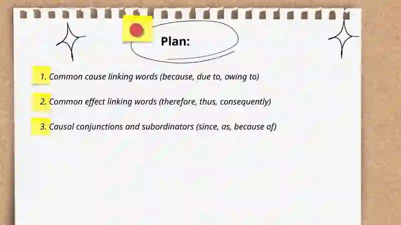 Cause and Effect Essay 2
