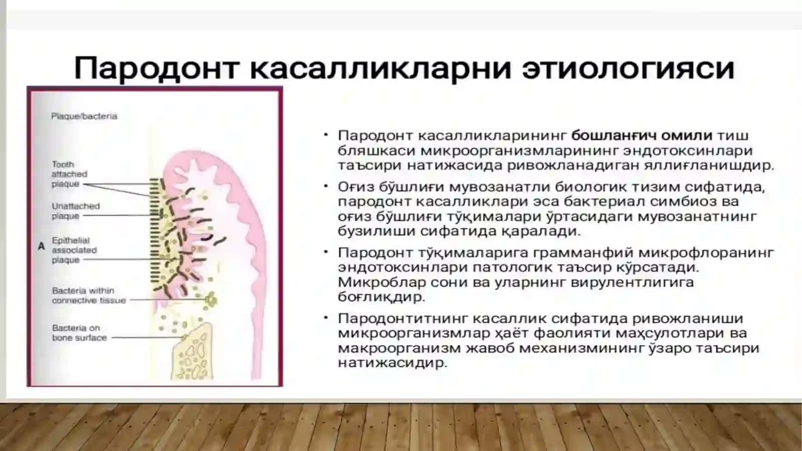 Tez kechuvchan paradantitlar 2