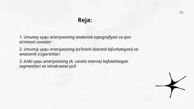 Umumiy tashqi va ichki uyqu arteriyasi tipografiyasi va tarmoqlanishi Turdaliyeva Mahliyo 2