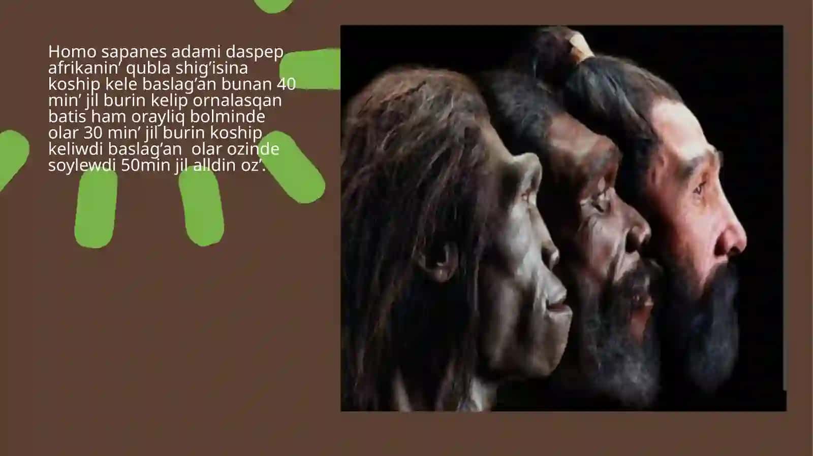Daslepki adam homo sapanes 2