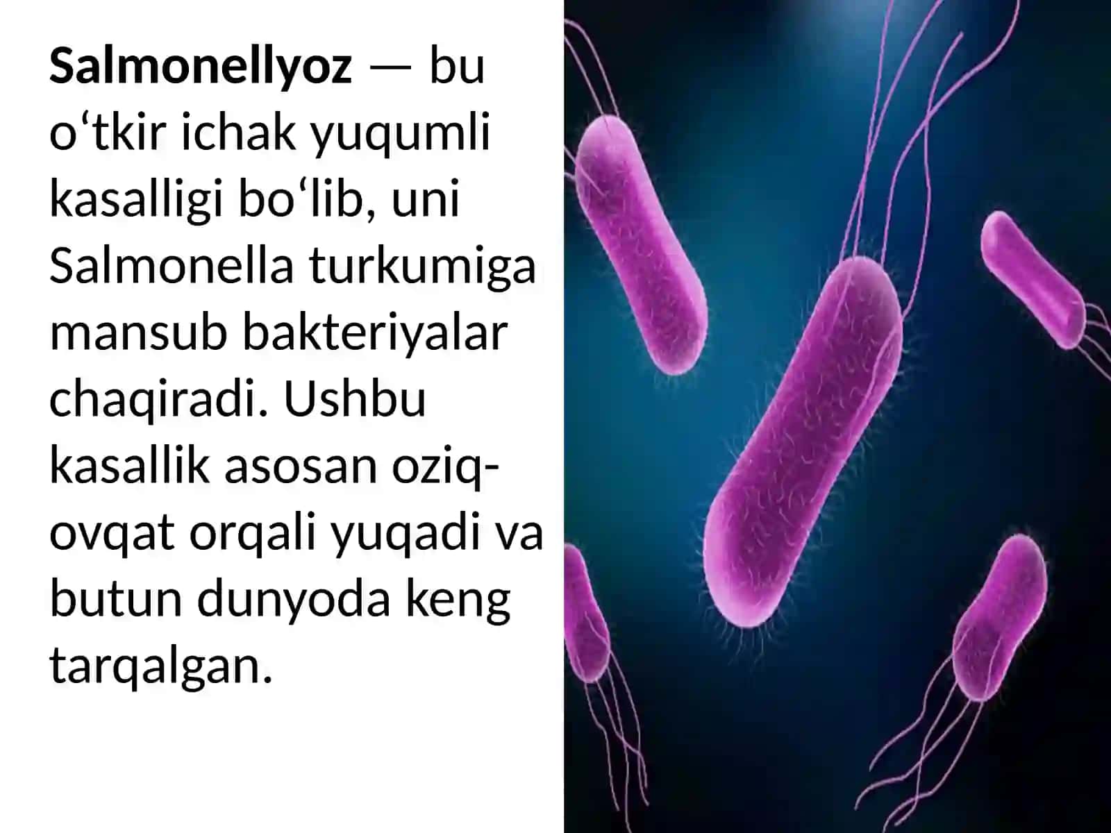 Oziq-ovqatdan zaharlanish yuqumli kasalliklari va ovqatdan zaharlanishlar. Salmonellyoz, botulizm, protey, stafilokokk va boshqa zaxarlanishlar, laboratoriya tashhisi 2