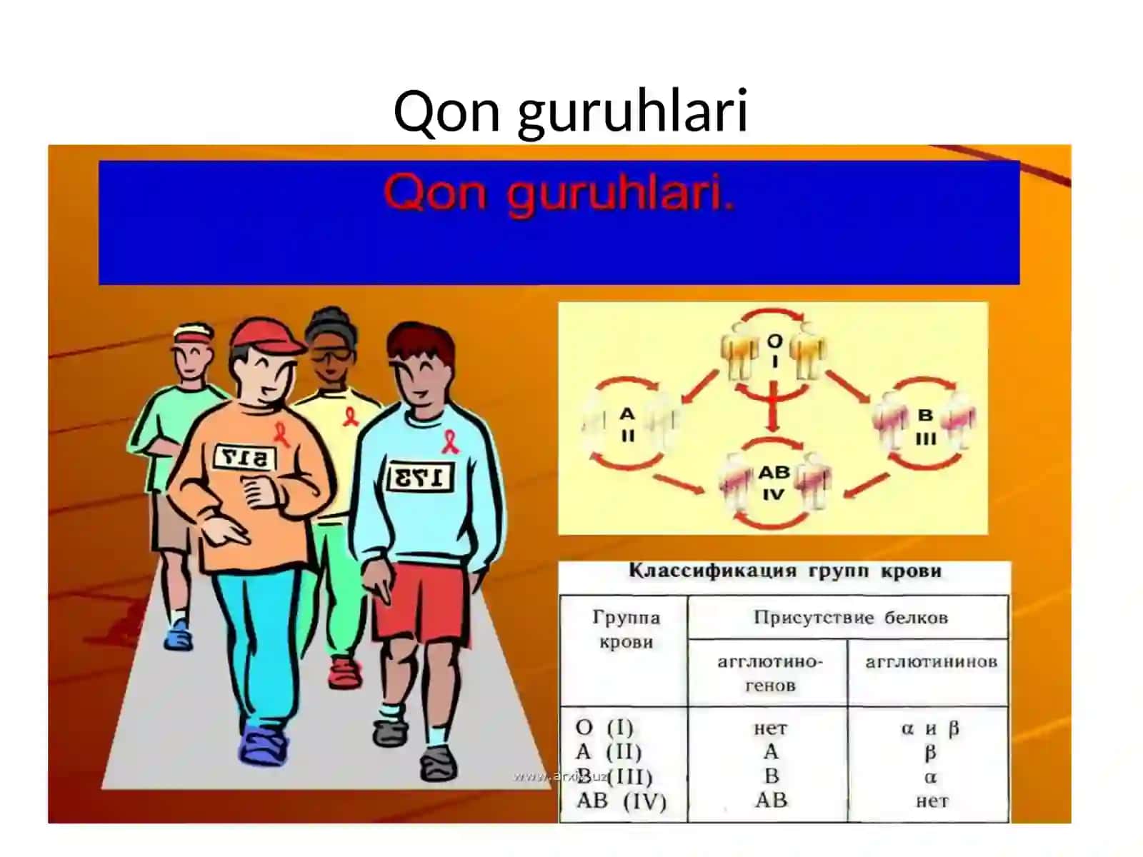 Qon guruhlar va rezus omil haqida tushuncha 2
