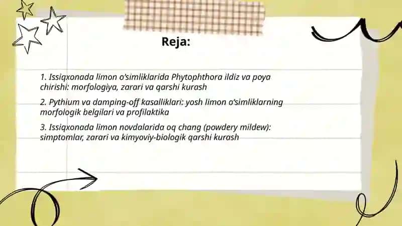 Issiqxonadagi limon oʻsimliklarining kasalliklari morfologiyasi zarari va qarshi kurash 2