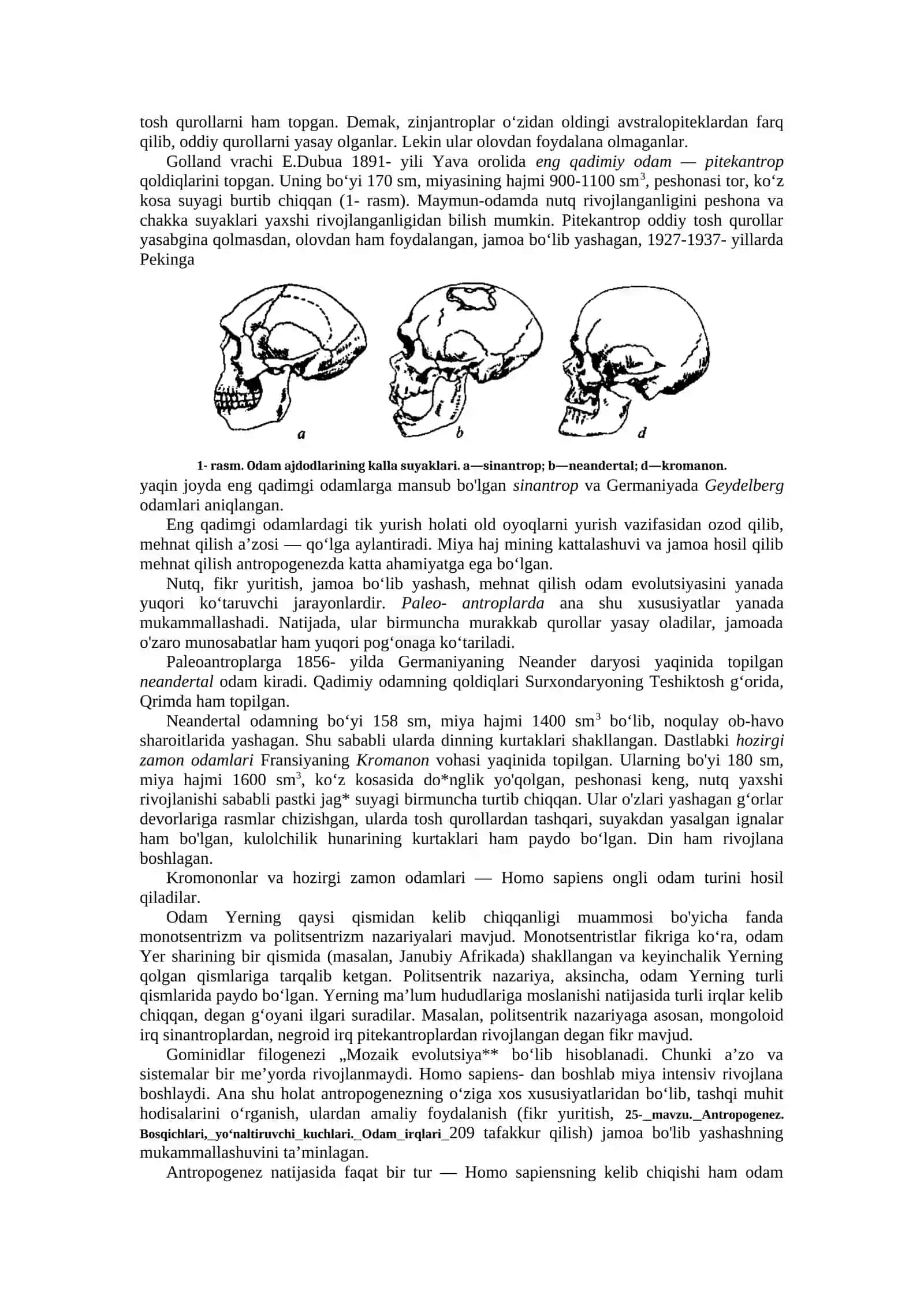 Antropogenez. Bosqichlari, Yo'naltiruvchi kuchlari. Odamlar irqlari 2