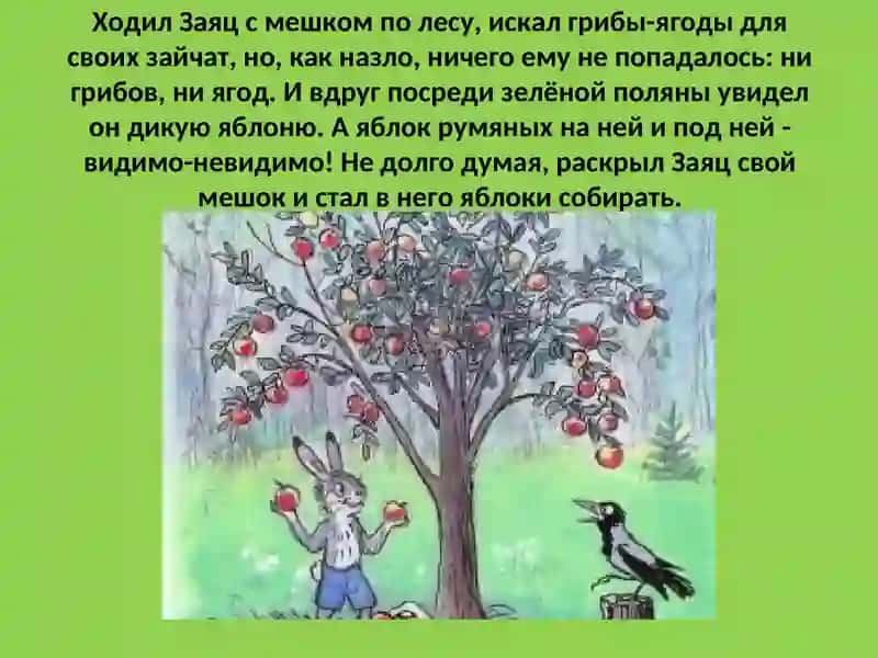 "Мешок яблок" 2