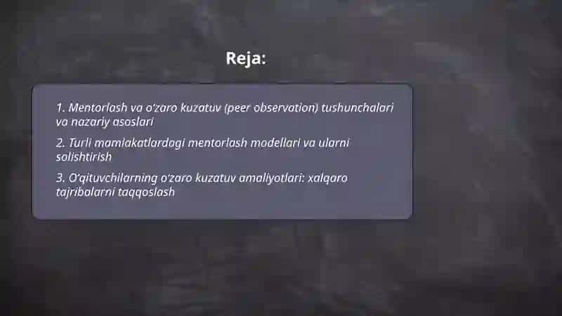 Mentorlash va oʻzaro kuzatuv amaliyotlari qiyosiy oʻrganish 2
