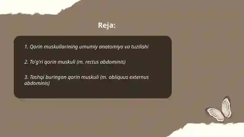 Qorin muskullari 2