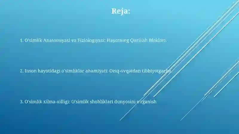 O'simlik Anatomiyasi va Fiziologiyasi: Hayotning Qurilish Blokları 2