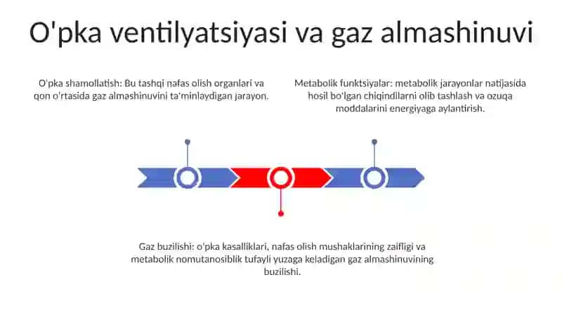 O'Pkaning Metabolik Funksiyalari Va Ularning Buzilishlari 2