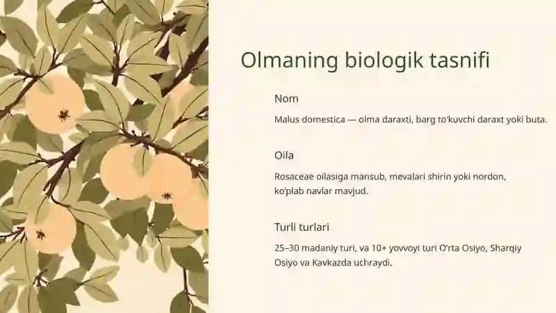 Olma 2