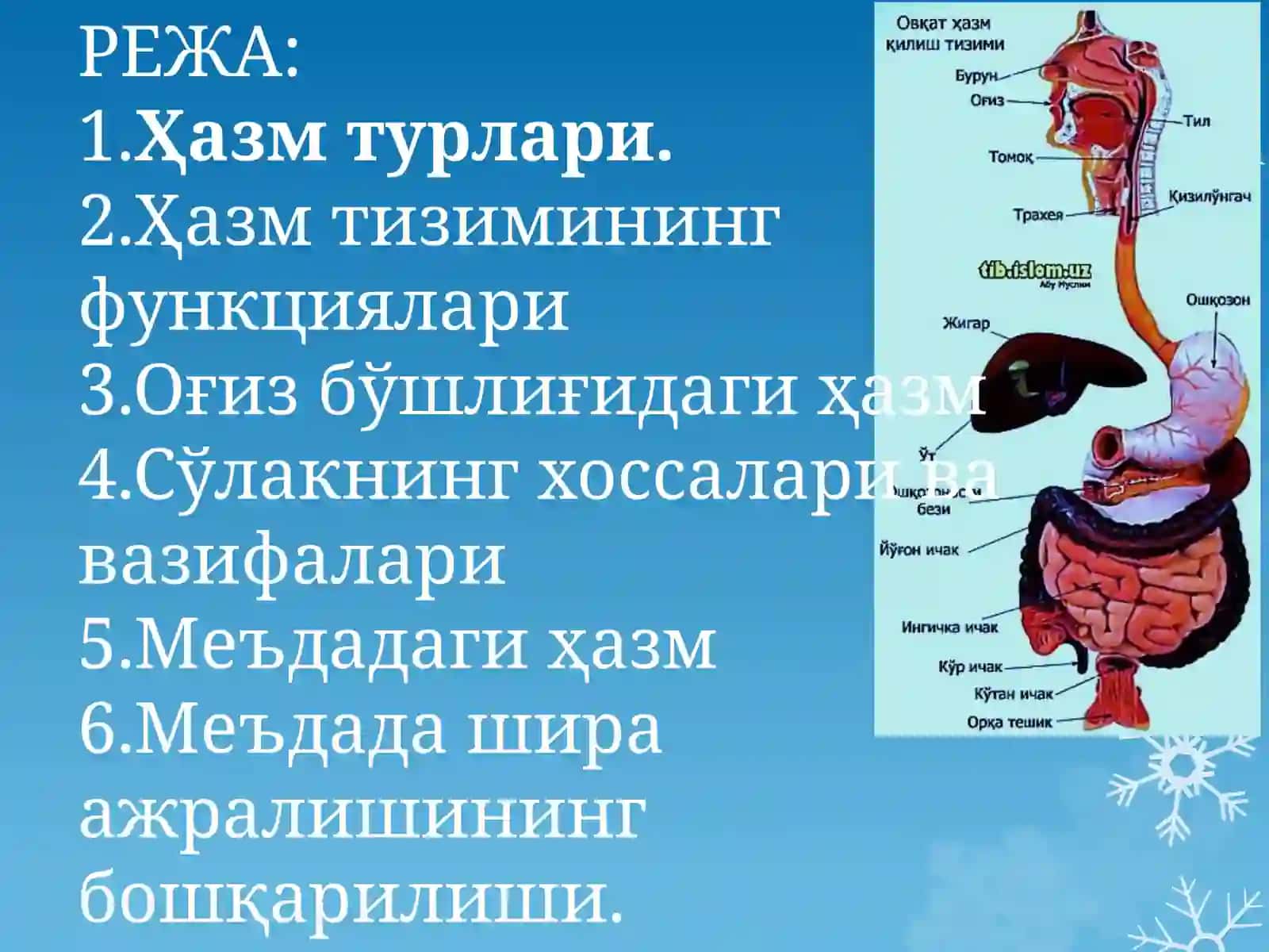 Бухородавлат тиббиётинститути 2