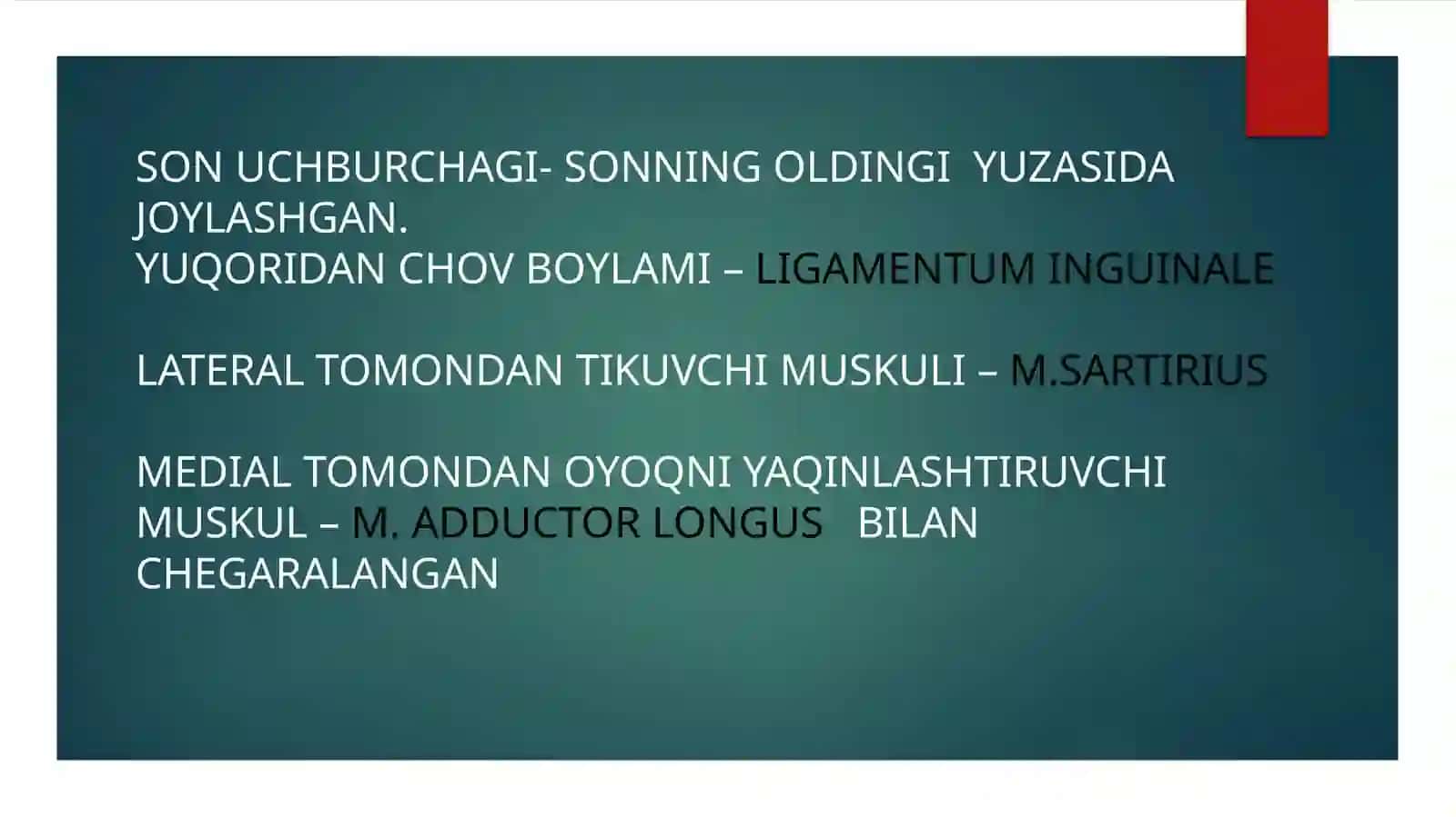 SON UCHBURCHAGI 2