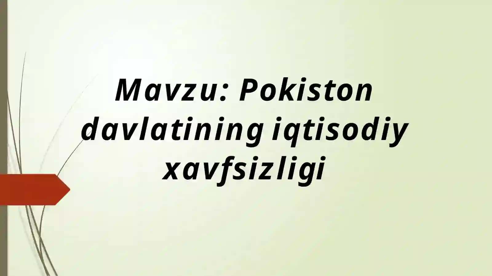 Pokiston davlatining iqtisodiy xavfsizligi 2