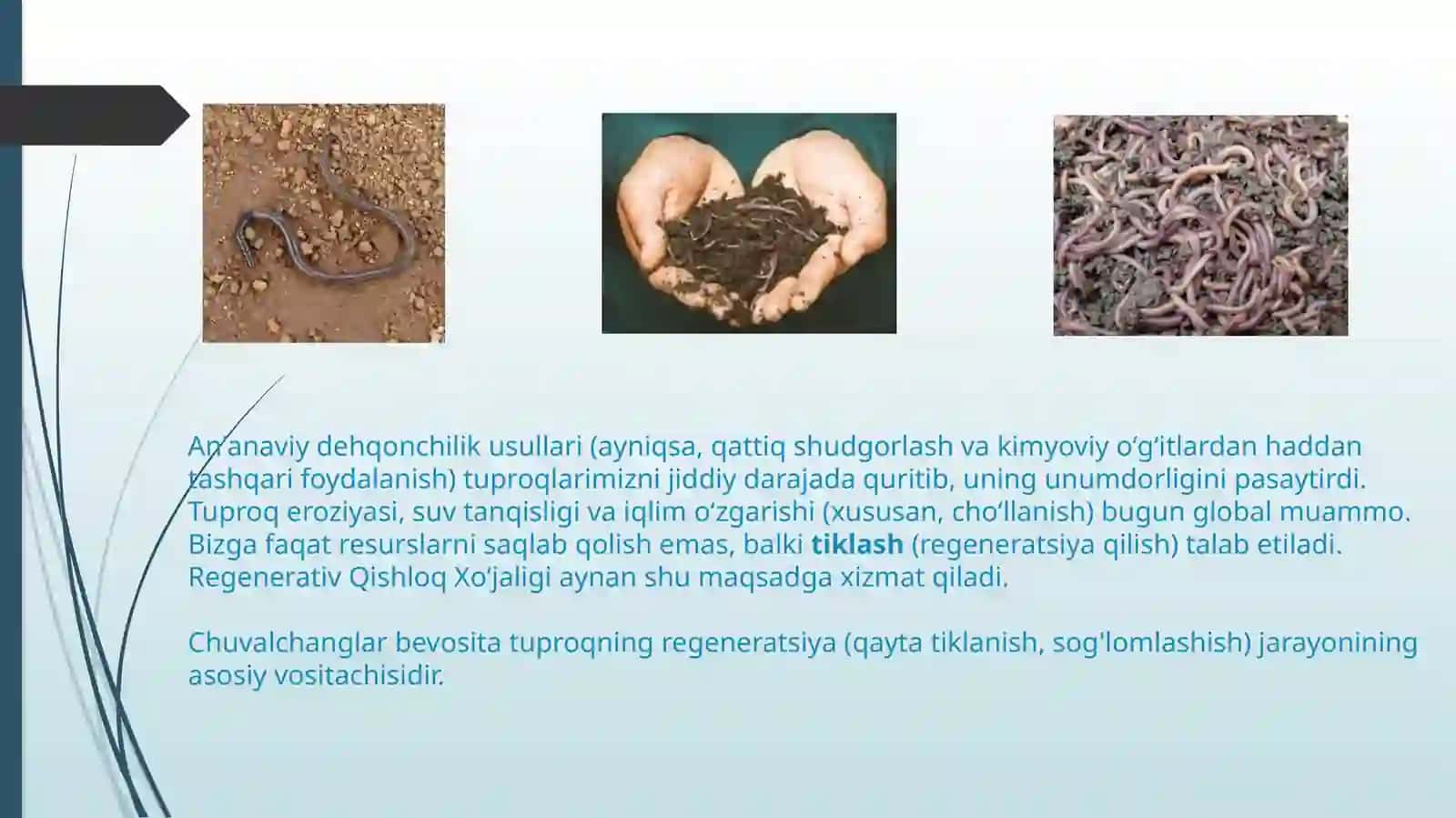 Qishloq xo‘jaligida ekologik texnologiyalar qo‘llash 2