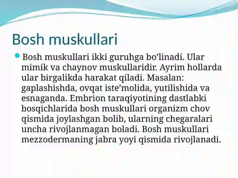Mimika muskullari va vazifalari 2